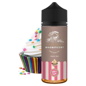 Steam Train – Magnificent (120ml)