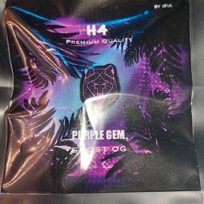 Purple Gem Ghost “OG” H4 – 2γρ. Ανθοί Κάνναβης