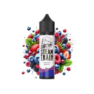 Steam Train – Forest Berry Disposable Edition 60ml