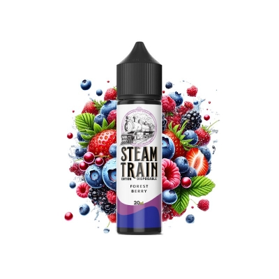 Steam Train – Forest Berry Disposable Edition 60ml